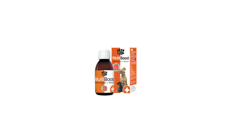 MultiBoost Multi Vitamin & Mineral 150ml