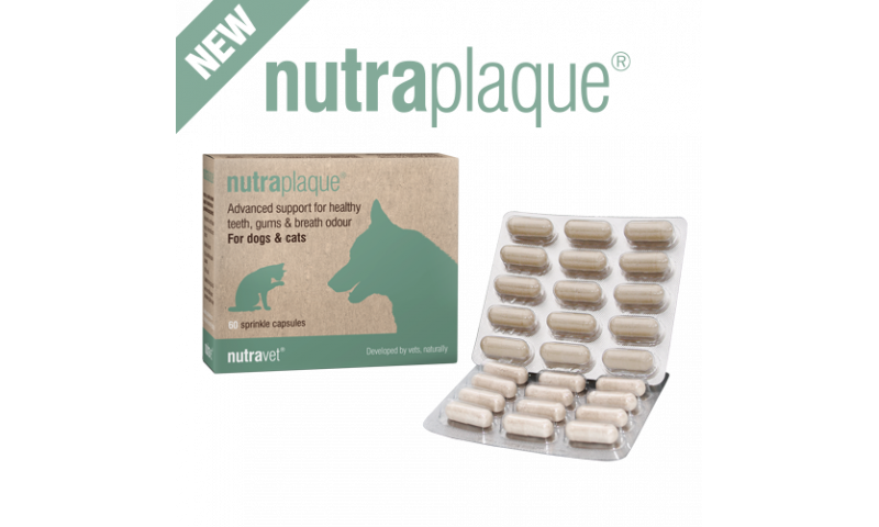 Nutraplaque 60 sprinkle capsules